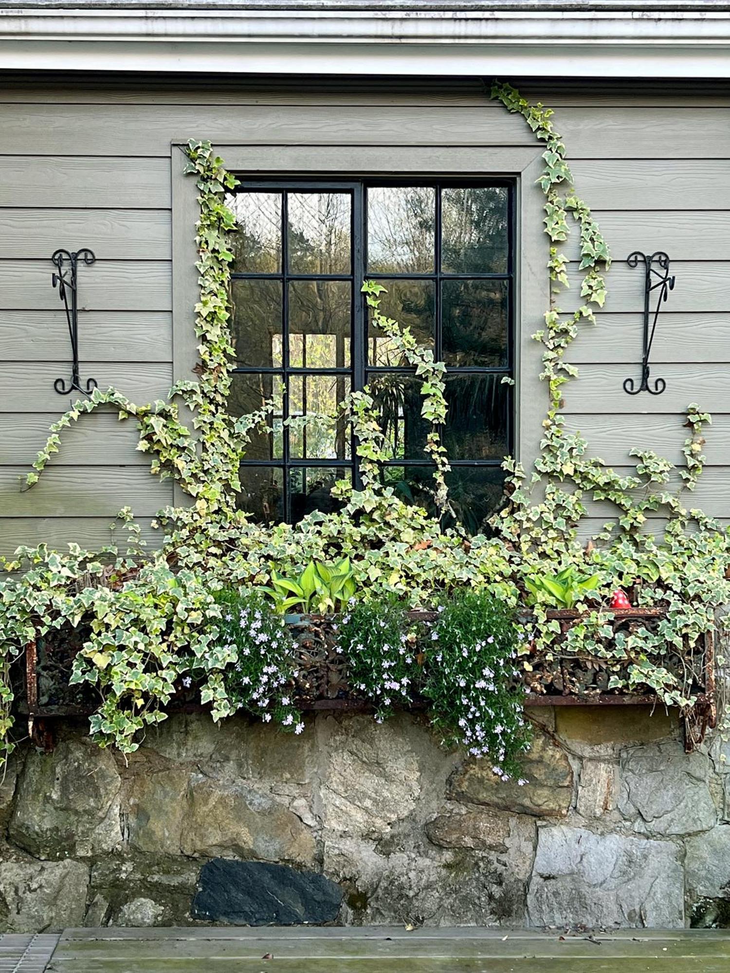 Studio Guest Suite In Forest Cottage Tryon Exterior photo
